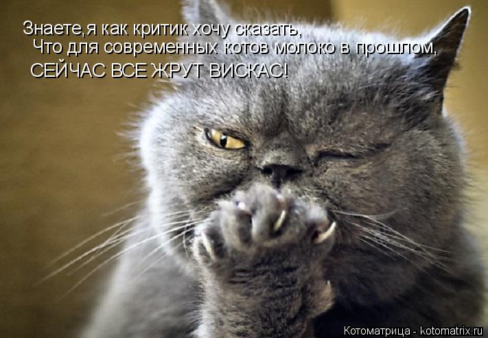 Знаете,я как критик хочу сказать, Что для современных котов молоко в прошлом, СЕЙЧАС ВСЕ ЖРУТ ВИСКАС!... Котоматрица: Знаете,я как критик хочу сказать, Что для современных котов молоко в прошлом, СЕЙЧАС ВСЕ ЖРУТ ВИСКАС!