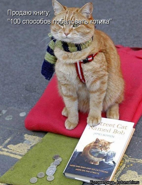 Продаю книгу: "100 способов побаловать котика"... Котоматрица: Продаю книгу: "100 способов побаловать котика"