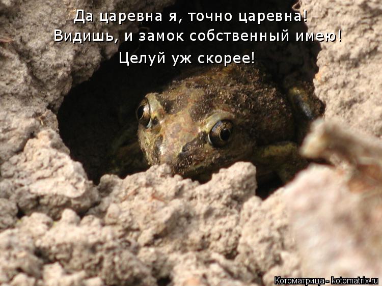 Да царевна я, точно царевна! Видишь, и замок собственный имею! Целуй уж скорее!... Котоматрица: Да царевна я, точно царевна! Видишь, и замок собственный имею! Целуй уж скорее!