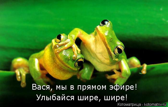 Вася, мы в прямом эфире! Улыбайся шире, шире!... Котоматрица: Вася, мы в прямом эфире! Улыбайся шире, шире!