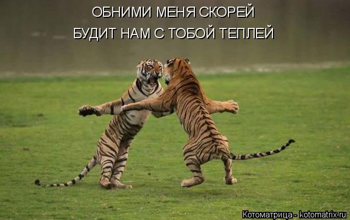 ОБНИМИ МЕНЯ СКОРЕЙ БУДИТ НАМ С ТОБОЙ ТЕПЛЕЙ... Котоматрица: ОБНИМИ МЕНЯ СКОРЕЙ БУДИТ НАМ С ТОБОЙ ТЕПЛЕЙ