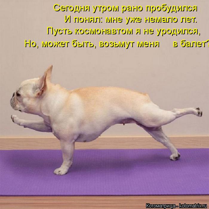 Сегодня утром рано пробудился И понял: мне уже немало лет. Пусть космонавтом я не уродился, Но, може... Котоматрица: Сегодня утром рано пробудился И понял: мне уже немало лет. Пусть космонавтом я не уродился, Но, может быть, возьмут меня в балет?
