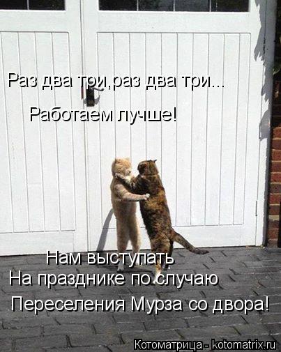 Раз два три,раз два три... Работаем лучше! Нам выступать На празднике по случаю Переселения Мурза со... Котоматрица: Раз два три,раз два три... Работаем лучше! Нам выступать На празднике по случаю Переселения Мурза со двора!