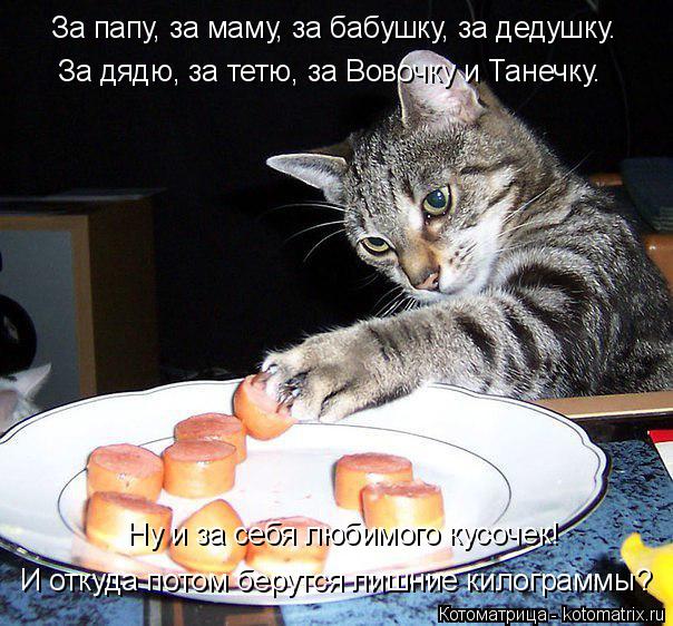 За папу, за маму, за бабушку, за дедушку. За дядю, за тетю, за Вовочку и Танечку. Ну и за себя любимо... Котоматрица: За папу, за маму, за бабушку, за дедушку. За дядю, за тетю, за Вовочку и Танечку. Ну и за себя любимого кусочек! И откуда потом берутся лишние ки