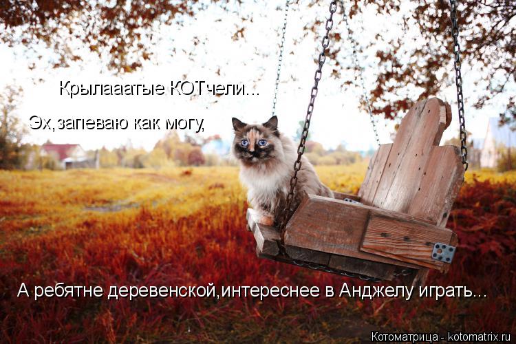 Крылааатые КОТчели... Эх,запеваю как могу, А ребятне деревенской,интереснее в Анджелу играть...... Котоматрица: Крылааатые КОТчели... Эх,запеваю как могу, А ребятне деревенской,интереснее в Анджелу играть...