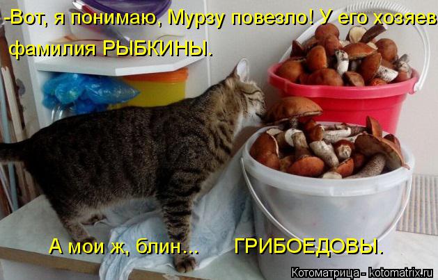 -Вот, я понимаю, Мурзу повезло! У его хозяев фамилия РЫБКИНЫ. А мои ж, блин... ГРИБОЕДОВЫ.... Котоматрица: -Вот, я понимаю, Мурзу повезло! У его хозяев фамилия РЫБКИНЫ. А мои ж, блин... ГРИБОЕДОВЫ.