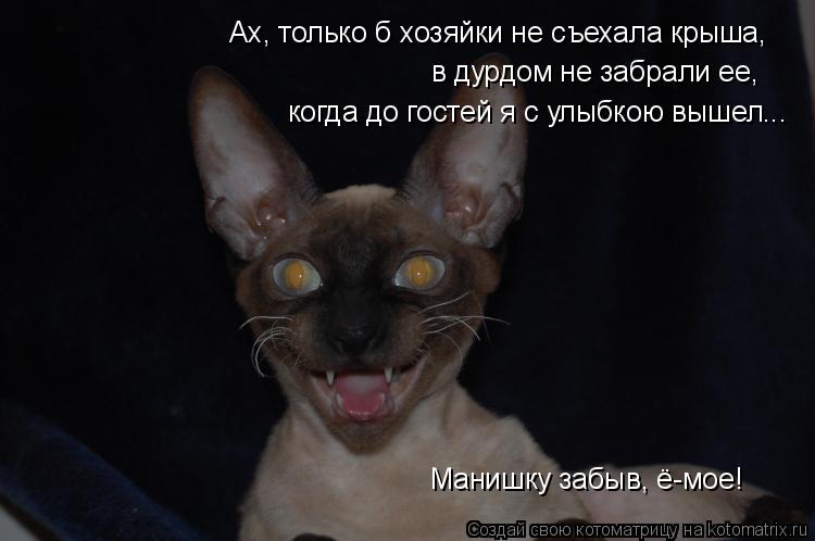 Ах, только б хозяйки не съехала крыша, в дурдом не забрали ее, когда до гостей я с улыбкою вышел... ... Котоматрица: Ах, только б хозяйки не съехала крыша, в дурдом не забрали ее, когда до гостей я с улыбкою вышел... Манишку забыв, ё-мое!