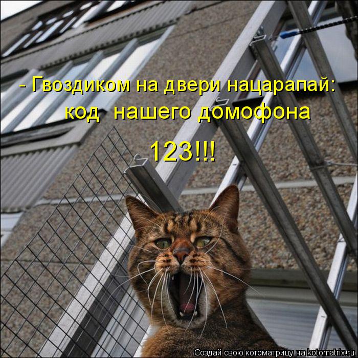 123!!! код нашего домофона - Гвоздиком на двери нацарапай:... Котоматрица: 123!!! код нашего домофона - Гвоздиком на двери нацарапай: