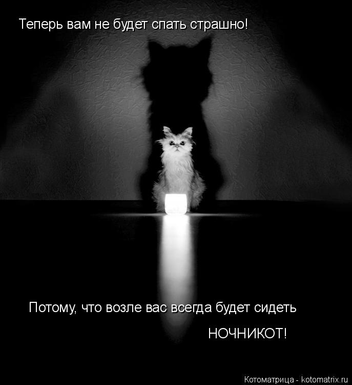 Теперь вам не будет спать страшно! Потому, что возле вас всегда будет сидеть НОЧНИКОТ!... Котоматрица: Теперь вам не будет спать страшно! Потому, что возле вас всегда будет сидеть НОЧНИКОТ!