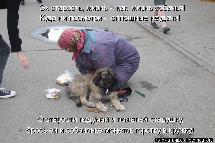 Эх старость, жизнь - как жизнь собачья! О старости подумай и пожалей старушку, брось ей и собачонке... Котоматрица: Эх старость, жизнь - как жизнь собачья! О старости подумай и пожалей старушку, брось ей и собачонке монеток горстку в кружку! Куда ни посмот