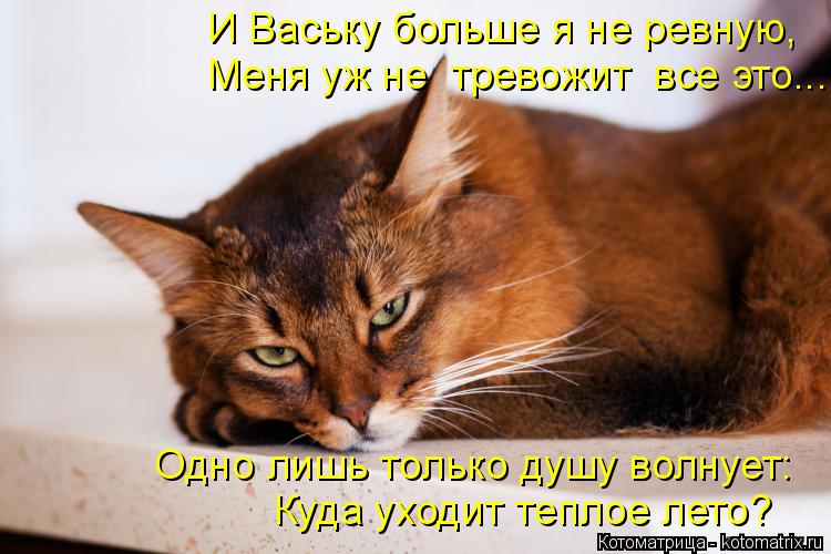 Куда уходит теплое лето? Одно лишь только душу волнует: И Ваську больше я не ревную, Меня уж не трев... Котоматрица: Куда уходит теплое лето? Одно лишь только душу волнует: И Ваську больше я не ревную, Меня уж не тревожит все это...