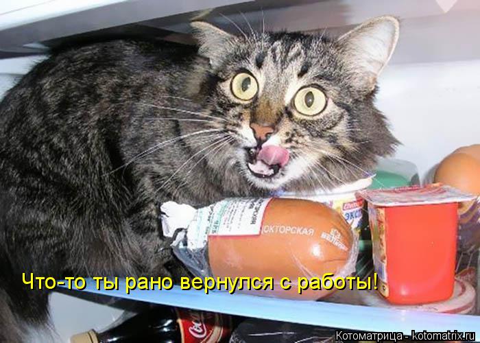 Ч Что-то ты рано вернулся с работы!... Котоматрица: Ч Что-то ты рано вернулся с работы!