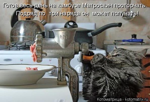 Готов весь день на камбузе Матроскин проторчать. Подряд по три наряда он может получать!... Котоматрица: Готов весь день на камбузе Матроскин проторчать. Подряд по три наряда он может получать!
