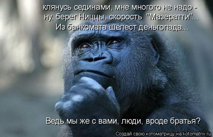 клянусь сединами, мне многого не надо - Из банкомата шелест деньгопада... Ведь мы же с вами, люди, вр... Котоматрица: клянусь сединами, мне многого не надо - Из банкомата шелест деньгопада... Ведь мы же с вами, люди, вроде братья? ну, берег Ниццы, скорость "Мазе