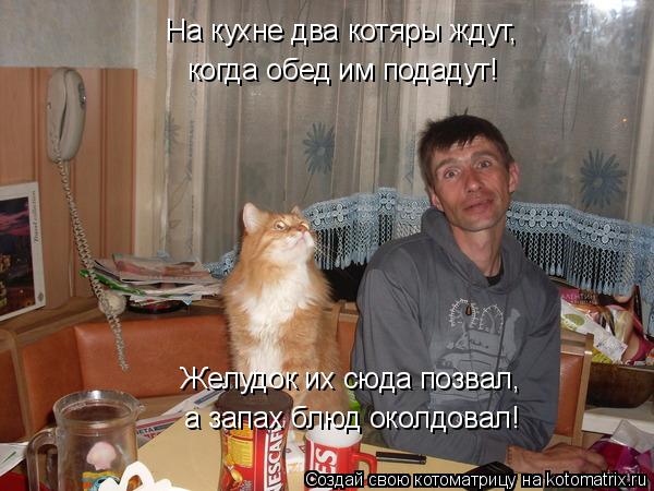 На кухне два котяры ждут, когда обед им подадут! Желудок их сюда позвал, а запах блюд околдовал!... Котоматрица: На кухне два котяры ждут, когда обед им подадут! Желудок их сюда позвал, а запах блюд околдовал!