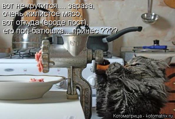 вот не крутится.... зараза, очень жилистое мясо, его поп-батюшка... принёс ???? вот откуда (вроде пос... Котоматрица: вот не крутится.... зараза, очень жилистое мясо, его поп-батюшка... принёс ???? вот откуда (вроде пост),