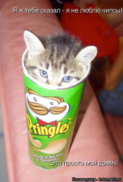 Я ж тебе сказал - я не люблю чипсы! Это просто мой домик!... Котоматрица: Я ж тебе сказал - я не люблю чипсы! Это просто мой домик!