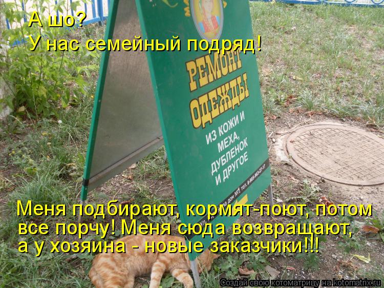 А шо? У нас семейный подряд! Меня подбирают, кормят-поют, потом все порчу! Меня сюда возвращают, а у... Котоматрица: А шо? У нас семейный подряд! Меня подбирают, кормят-поют, потом все порчу! Меня сюда возвращают, а у хозяина - новые заказчики!!!
