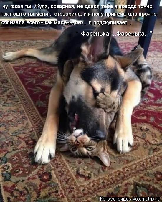 ну какая ты, Жуля, коварная, не давал тебе я повода точно, так пошто ты меня... отоварила, и к полу п... Котоматрица: ну какая ты, Жуля, коварная, не давал тебе я повода точно, так пошто ты меня... отоварила, и к полу припечатала прочно, облизала всего - как масе