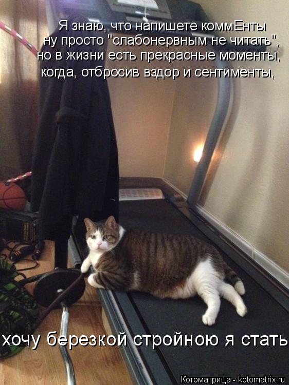 Я знаю, что напишете коммЕнты ну просто "слабонервным не читать", но в жизни есть прекрасные момент... Котоматрица: Я знаю, что напишете коммЕнты ну просто "слабонервным не читать", но в жизни есть прекрасные моменты, когда, отбросив вздор и сентименты, х