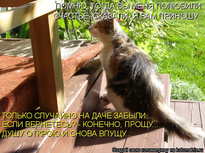 ПОМНЮ, ТОГДА ВЫ МЕНЯ ПОЛЮБИЛИ... СЧАСТЬЕ, СКАЗАЛИ, Я ВАМ ПРИНОШУ... ТОЛЬКО СЛУЧАЙНО НА ДАЧЕ ЗАБЫЛИ...... Котоматрица: ПОМНЮ, ТОГДА ВЫ МЕНЯ ПОЛЮБИЛИ... СЧАСТЬЕ, СКАЗАЛИ, Я ВАМ ПРИНОШУ... ТОЛЬКО СЛУЧАЙНО НА ДАЧЕ ЗАБЫЛИ... ЕСЛИ ВЕРНЕТЕСЬ? - КОНЕЧНО, ПРОЩУ... ДУШУ ОТКР