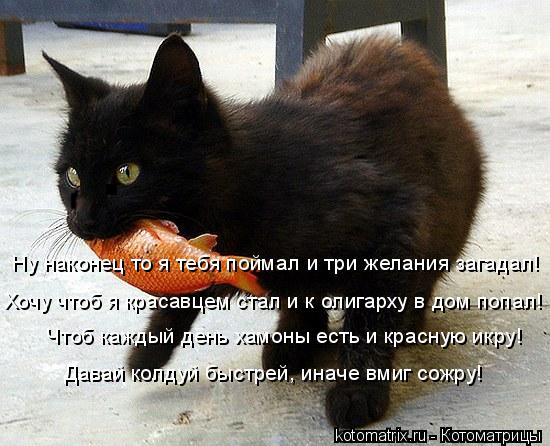 Давай колдуй быстрей, иначе вмиг сожру! Ну наконец то я тебя поймал и три желания загадал! Хочу чтоб ... Котоматрица: Давай колдуй быстрей, иначе вмиг сожру! Ну наконец то я тебя поймал и три желания загадал! Хочу чтоб я красавцем стал и к олигарху в дом попал