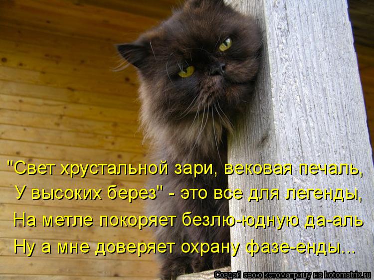 "Свет хрустальной зари, вековая печаль, У высоких берез" - это все для легенды, На метле покоряет без... Котоматрица: "Свет хрустальной зари, вековая печаль, У высоких берез" - это все для легенды, На метле покоряет безлю-юдную да-аль Ну а мне доверяет охрану ф