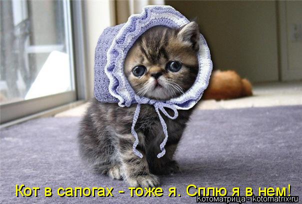 Котоматрица: Кот в сапогах - тоже я. Сплю я в нем!