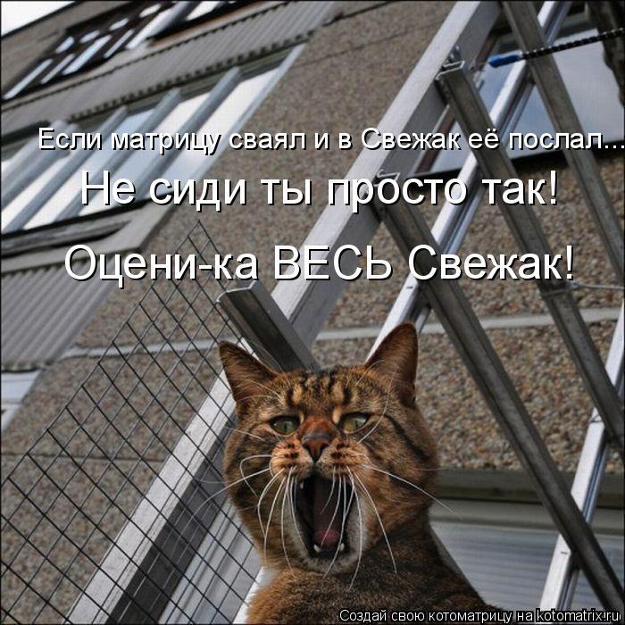 Если матрицу сваял и в Свежак её послал... Не сиди ты просто так! Оцени-ка ВЕСЬ Свежак!... Котоматрица: Если матрицу сваял и в Свежак её послал... Не сиди ты просто так! Оцени-ка ВЕСЬ Свежак!