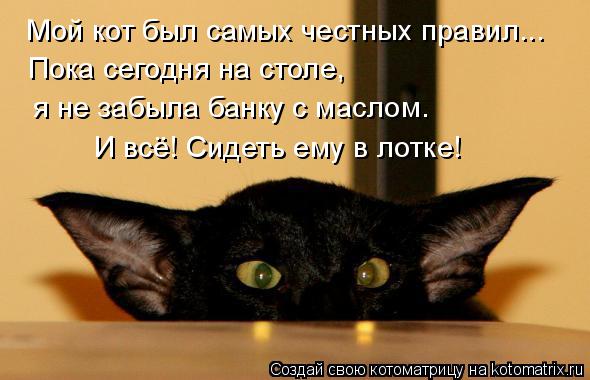 Мой кот был самых честных правил... Пока сегодня на столе, я не забыла банку с маслом. И всё! Сидеть ... Котоматрица: Мой кот был самых честных правил... Пока сегодня на столе, я не забыла банку с маслом. И всё! Сидеть ему в лотке!