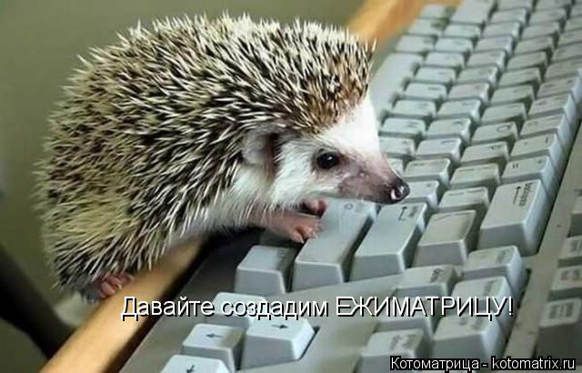 Давайте создадим ЕЖИМАТРИЦУ!... Котоматрица: Давайте создадим ЕЖИМАТРИЦУ!