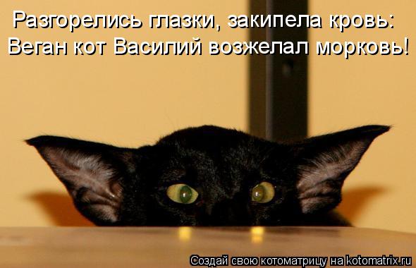 Разгорелись глазки, закипела кровь: Веган кот Василий возжелал морковь!... Котоматрица: Разгорелись глазки, закипела кровь: Веган кот Василий возжелал морковь!