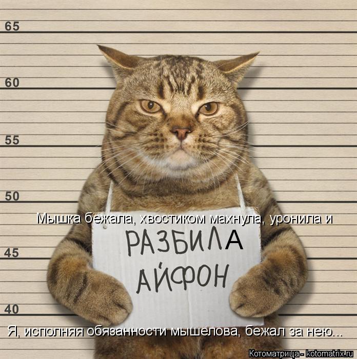 Мышка бежала, хвостиком махнула, уронила и А Я, исполняя обязанности мышелова, бежал за нею...... Котоматрица: Мышка бежала, хвостиком махнула, уронила и А Я, исполняя обязанности мышелова, бежал за нею...