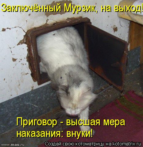 Заключённый Мурзик, на выход! Приговор - высшая мера наказания: внуки!... Котоматрица: Заключённый Мурзик, на выход! Приговор - высшая мера наказания: внуки!