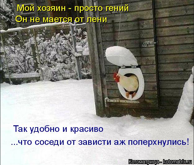 Мой хозяин - просто гений Он не мается от лени Так удобно и красиво ...что соседи от зависти аж попер... Котоматрица: Мой хозяин - просто гений Он не мается от лени Так удобно и красиво ...что соседи от зависти аж поперхнулись!