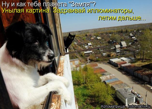 Ну и как тебе планета "Земля"? Унылая картина. Задраивай иллюминаторы, летим дальше...... Котоматрица: Ну и как тебе планета "Земля"? Унылая картина. Задраивай иллюминаторы, летим дальше...