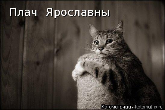 Плач Ярославны... Котоматрица: Плач Ярославны
