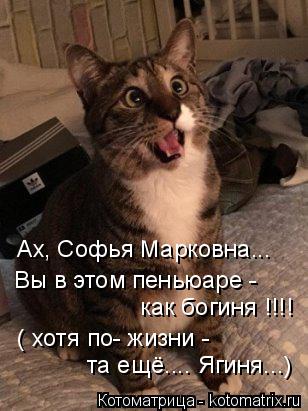 Ах, Софья Марковна... Вы в этом пеньюаре - как богиня !!!! ( хотя по- жизни - та ещё.... Ягиня...)... Котоматрица: Ах, Софья Марковна... Вы в этом пеньюаре - как богиня !!!! ( хотя по- жизни - та ещё.... Ягиня...)