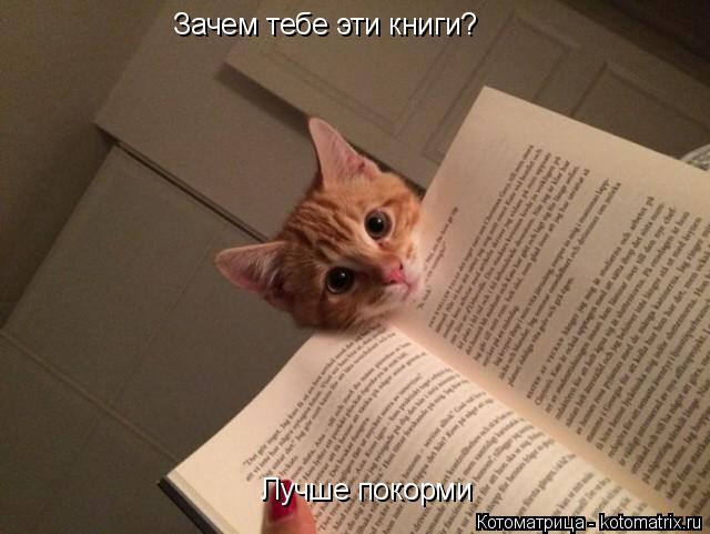Зачем тебе эти книги? Лучше покорми... Котоматрица: Зачем тебе эти книги? Лучше покорми
