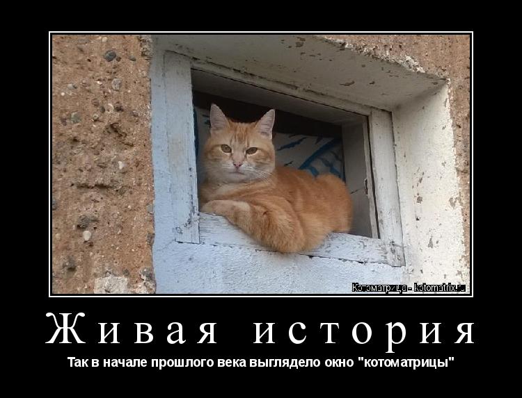 Живая история Так в начале прошлого века выглядело окно "котоматрицы"... Котоматрица: Живая история Так в начале прошлого века выглядело окно "котоматрицы"