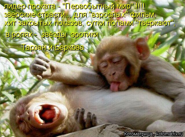 лидер проката - "Первобытный мир" !!!! зверские страсти... для "взрослых" фильм, хит закрытых показов... Котоматрица: лидер проката - "Первобытный мир" !!!! зверские страсти... для "взрослых" фильм, хит закрытых показов, сутки попами "тверкают", Тарзан и Беркова в