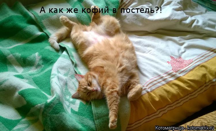 А как же кофий в постель?!... Котоматрица: А как же кофий в постель?!