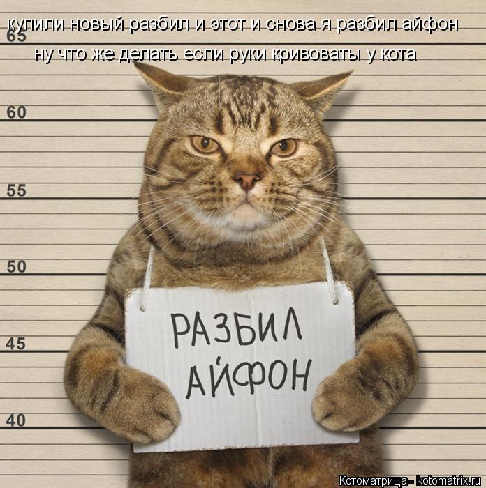купили новый разбил и этот и снова купили новый разбил и этот и снова я разбил айфон ну что же делать... Котоматрица: купили новый разбил и этот и снова купили новый разбил и этот и снова я разбил айфон ну что же делать если руки кривоваты у кота