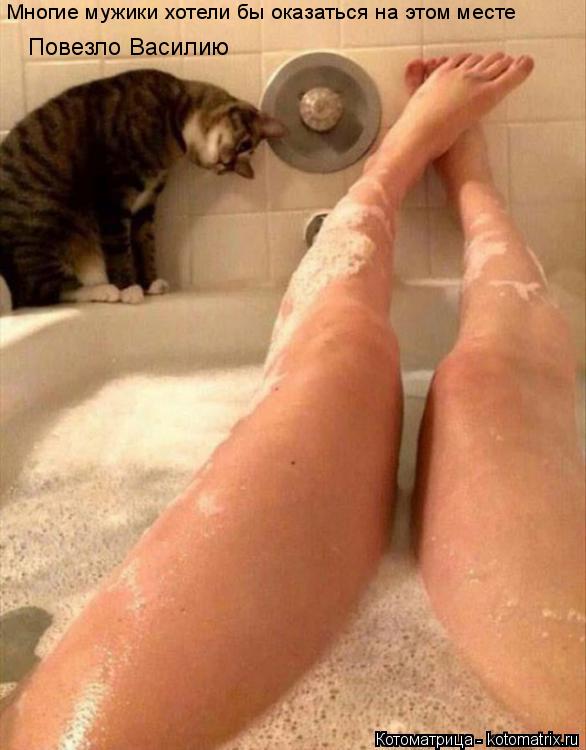 Многие мужики хотели бы оказаться на этом месте Повезло Василию... Котоматрица: Многие мужики хотели бы оказаться на этом месте Повезло Василию