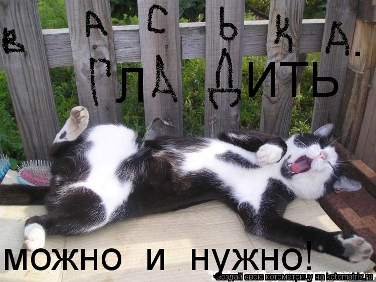 Л ИТЬ . можно и нужно!... Котоматрица: Л ИТЬ . можно и нужно!