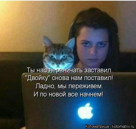 Ты нас нервничать заставил. "Двойку" снова нам поставил! Ладно, мы переживем. И по новой все начнем!... Котоматрица: Ты нас нервничать заставил. "Двойку" снова нам поставил! Ладно, мы переживем. И по новой все начнем!