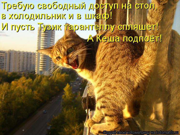 Требую свободный доступ на стол, в холодильник и в шкаф! И пусть Тузик тарантеллу спляшет! А Кеша под... Котоматрица: Требую свободный доступ на стол, в холодильник и в шкаф! И пусть Тузик тарантеллу спляшет! А Кеша подпоёт!