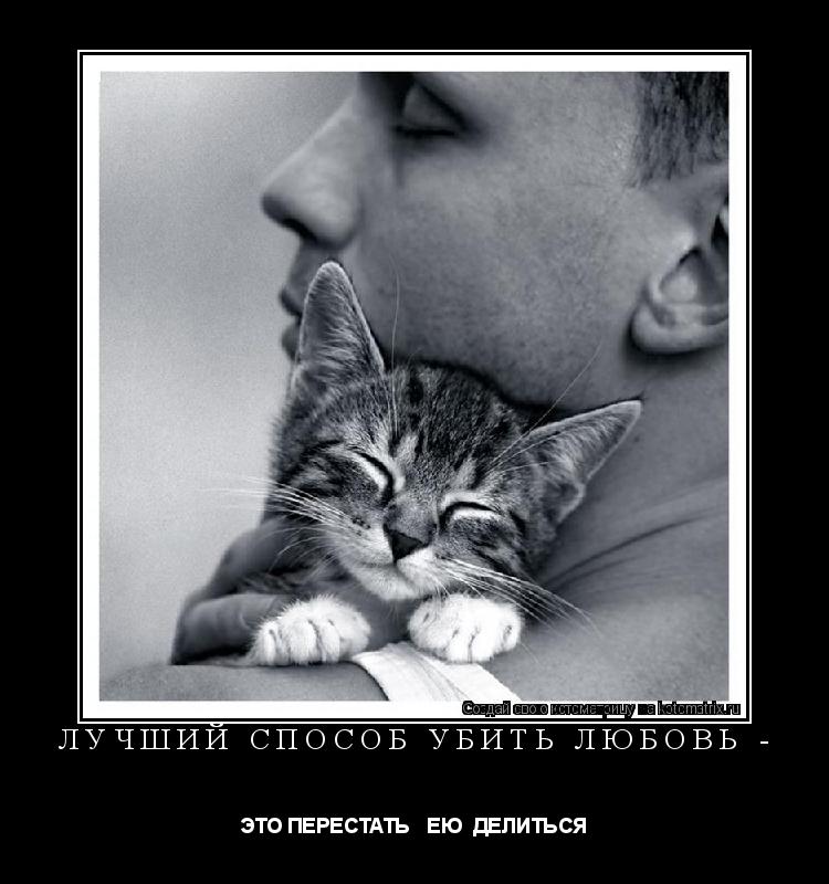 ЛУЧШИЙ СПОСОБ УБИТЬ ЛЮБОВЬ - ЭТО ПЕРЕСТАТЬ ЕЮ ДЕЛИТЬСЯ... Котоматрица: ЛУЧШИЙ СПОСОБ УБИТЬ ЛЮБОВЬ - ЭТО ПЕРЕСТАТЬ ЕЮ ДЕЛИТЬСЯ