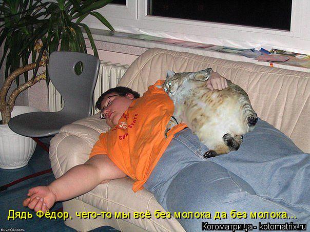 Дядь Фёдор, чего-то мы всё без молока да без молока...... Котоматрица: Дядь Фёдор, чего-то мы всё без молока да без молока...