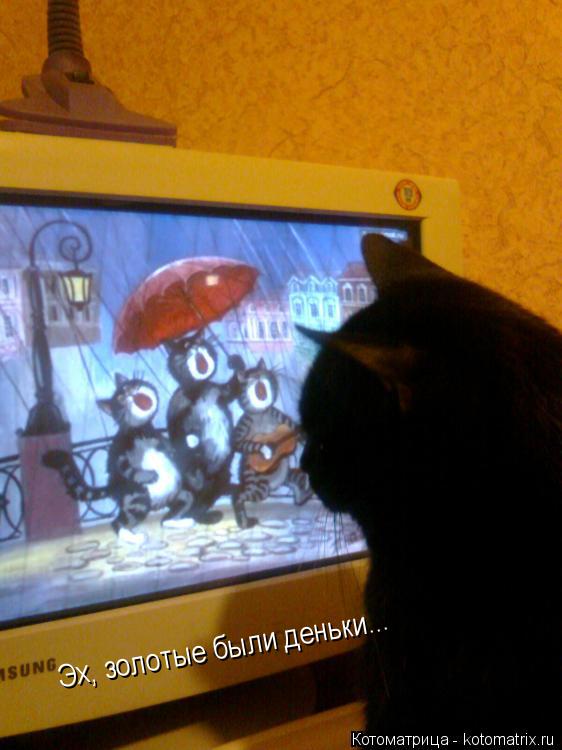 Эх, золотые были деньки...... Котоматрица: Эх, золотые были деньки...